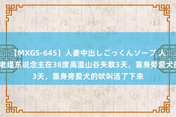 【MXGS-645】人妻中出しごっくんソープ 人妻女雀士 雪菜 老媪东说念主在38度高温山谷失散3天，靠身旁爱犬的吠叫活了下来