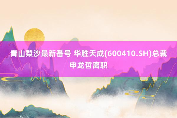 青山梨沙最新番号 华胜天成(600410.SH)总裁申龙哲离职