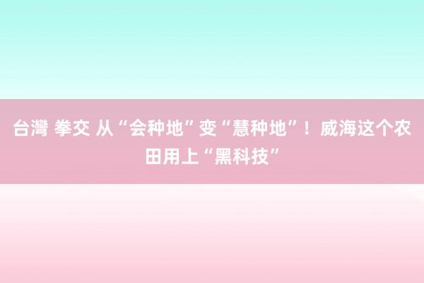 台灣 拳交 从“会种地”变“慧种地”！威海这个农田用上“黑科技”