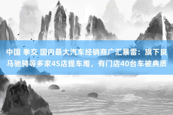 中国 拳交 国内最大汽车经销商广汇暴雷：旗下良马驰骋等多家4S店提车难，有门店40台车被典质