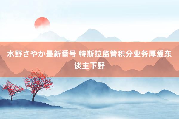 水野さやか最新番号 特斯拉监管积分业务厚爱东谈主下野