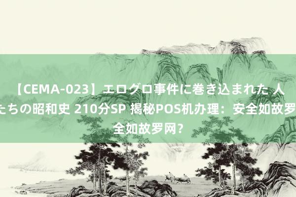 【CEMA-023】エログロ事件に巻き込まれた 人妻たちの昭和史 210分SP 揭秘POS机办理：安全如故罗网？