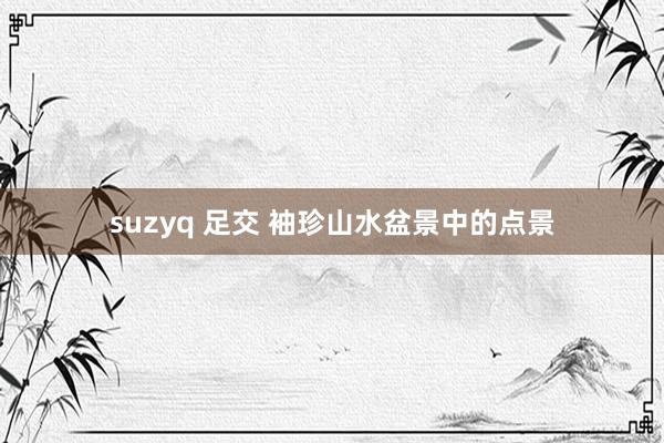 suzyq 足交 袖珍山水盆景中的点景