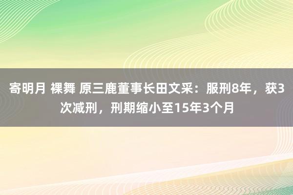 寄明月 裸舞 原三鹿董事长田文采：服刑8年，获3次减刑，刑期缩小至15年3个月