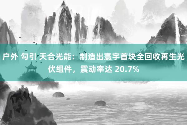 户外 勾引 天合光能：制造出寰宇首块全回收再生光伏组件，震动率达 20.7%