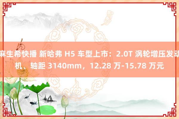 麻生希快播 新哈弗 H5 车型上市：2.0T 涡轮增压发动机、轴距 3140mm，12.28 万-15.78 万元